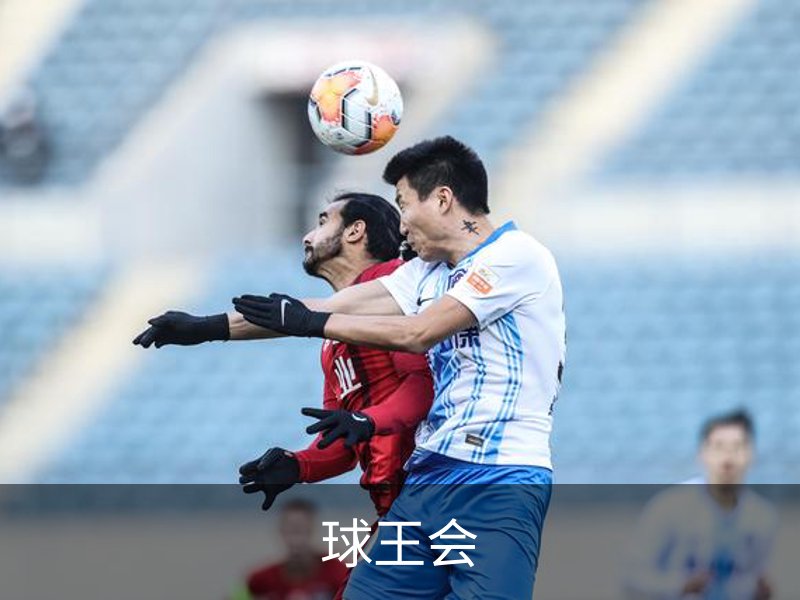 关于球王会
